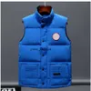 Canada Canadian Designer Men's Vest Down Coats Sale Europe and the United States Autumn/winter Down Cotton Luxury Brand Outdoor Jackets New Designers C D9il# 110