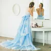 2019 Abiti da sposa a una linea a blu leggera a blu leggero appliques in pizzo senza maniche senza spalline