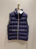 Herenvesten Lenterits Brunello Standkraag Casual vest