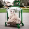 Porte-chats boîtier de chariot pour animaux de compagnie sac Transparent sur Portable grande capacité espace Capsule chien sac à dos porte-valise