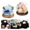 Decorative Flowers Preserved Gift Unique Mothers Day Gifts Light Up Carnation In Glass Dome For Women Mom Grandma