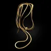 Modne wyciągające długie naszyjniki dla kobiet z niszowym lekkim luksusowym designem Wysokiej klasy łańcuchy kości węża proste i wszechstronne łańcuchy swetra
