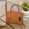 Women Bag Designer 2024 New Spring Summer Large Capacity Colorful Tote Bag Handbag Crossbody Bag Versatile Commuter Bag