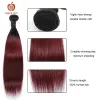 Pruiken T1B/99J Rode Kleur Braziliaanse Bordeaux Steil Haar Bundels Met Sluiting Applegirl Remy Menselijk Haar 2/3/4 Ombre Bundels Sluiting