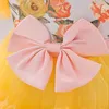 Girl Dresses Toddler Baby Dress Fluffy Tulle Flower Bow Baptism For Girls First 1st Birthday Party Wedding Prom Clothes Gown