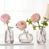 Vases Mini Vase en verre teinté simple Décoration de la maison Bouteille d'ornement Arrangement de fleurs hydroponiques