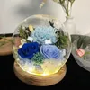 Decorative Flowers Preserved Gift Unique Mothers Day Gifts Light Up Carnation In Glass Dome For Women Mom Grandma