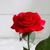 Fiori decorativi Rosa di bellezza in cupola di vetro a LED Forever Red San Valentino Regalo speciale romantico per la mamma