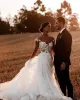 Illusion A Line Wedding Dress Country Sheer Jewel Neck Lace Appliques Bride Dresses Modern Backless Bridal Gowns robes de