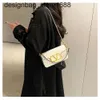 Sac à bandoulière de styliste pour femmes, marque tendance, Design tendance, sac sous les bras, léger, luxe, polyvalent, une chaîne à bandoulière