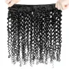 Vävar Yvonne 3C 4A Malaysian Curly Virgin Hair Bundles 1/4 buntar Mänskligt hårväv naturlig färg