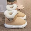 Bottes Furry Chaussures d'hiver pour femmes Softs Soft Soled Plateforme extérieure Bottes de neige féminines High Top Footwear confortable Dames Booties