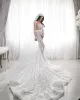 Robe de mariée sirène scintillante, effet d'illusion, perles, col transparent, manches longues, robes de mariée en dentelle 3D