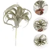 Flores decorativas Acessórios para casa Decoração Simulação Tillandsia Plantas artificiais Decoração de abacaxi