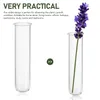 Vases 5pcs hydroponique vase bureau plante terrarium tube à essai verre transparent pour hydroponique