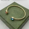 Charm Bracelets 2023 Top Luxury Designer Diamond Bangle For Woman Design Bracelest Gold Jewelry Supply Q240321