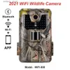 Jacht Trail Camera's Suntekcam 4K Video Live WIFI900PRO Trail Camera 30MP WIFI Toepassing Bluetooth Controle Nachtzicht Outdoor Wildlife Photo Viewer Q240321