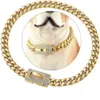 Cuba chaîne ceinture designer colliers de chien collier plein diamant boucle or collier en acier pour animaux de compagnie doré 10mm 14mm cristal colliersjk56