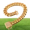 Diamond Buckle Dog Chain 14mm Pet Dog Collar Rostfritt stål Pet Gold Chain Cat Dog Collar Accessories8986244