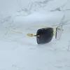 Photochrome Sonnenbrille, 4-Jahreszeiten-Brille, große Sonnenbrille mit Diamantschliff, Farbwechsel, zweifarbige Gläser, Rahmen, Designer Carter Luxusbrillen, 012, weißes Büffelhorn