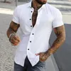 Camicie casual da uomo Camicia slim fit da uomo Sport giovanile Elegante estate con colletto rovesciato maniche corte per abbigliamento formale