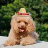 Abbigliamento per cani popetpop 1pc hat sombrero cappello divertente costume decorazioni messicane estate (perle a corda di cotone regolabile