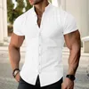 Men's Casual Shirts Men Shirt Stylish Stand Collar Cardigan For Summer Business Wear Single-breasted