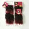 Pack Schattige Quattro Bebe Curl 4 stuks Ombre Kleur Haar Weavon, Tweekleurige Kleur Hittebestendig Kinky Krullend Volledig Packat Haar Weven