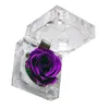 Decoratieve bloemen bruiloft decor handgemaakte koepel bewaarde rozen glas cadeau voor Valentijnsdag