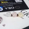 Designer smycken som säljer hiphop S925 VVS Moissanite Hot Selling Top Quality Stud Earring Pass Diamond Tester Skruv tillbaka 10K 14K Solid Gold Earrings