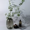 Vasos hidroponia terrário interior moderno estético minimalista vaso coreano design jarrones sala de estar decoração
