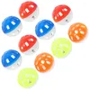 Other Bird Supplies 10 Pcs Indoor Cat Hollow Bell Ball Toys Birds Grinding Plaything Plastic Parakeet For Cage