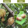 Sacs de rangement Mesh Anti-oiseau Sac Protection des fruits Insecte de plantation de raisin à l'épreuve des oiseaux