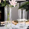 Vases en verre Vase d'extérieur esthétique design nordique minimaliste pot de plante transparent vaso per fiori décoration de la maison