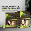 Shampoos 10 Stück/Box Schwarzes Haarshampoo Rotwein Dunkelbraun 5 Minuten Färben Sie das Haar in schwarzes Kraut, natürliches, schnelleres Haarwiederherstellungs-Farbmittel