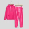 Women's Two Piece Pants Spring Tracksuit Set Solid Colour Sweatshirt Long Sleeve Casual Pocket Hoodies And Jogging Pant Suit