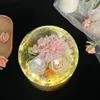 Decorative Flowers Preserved Gift Unique Mothers Day Gifts Light Up Carnation In Glass Dome For Women Mom Grandma