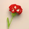 Decoratieve bloemen gehaakte anjerbloem voor vrouw cadeau handgemaakte gebreide Moederdag bruidsboeket Festival geschenken