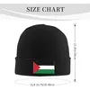 男性のためのパレスチナビーニーの帽子のベレーツェ旗