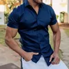 Chemises décontractées pour hommes Hommes Slim Fit Chemise Jeunes Sports Élégant Été avec col rabattu Manches courtes pour formel