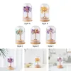 Decorative Figurines Fortune Trees Statue Indoor Art Desktop Nature Gift Lucky Tree For Housewarming Fireplace Living Room Bookshelf Wedding