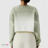 Low Price Oem Gradient Long Sleeve Crop Top T-shirt Organic Cotton Cropped Shirt Crewneck Women Plain