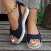 Sandalen Casual Grote Maat Dames Zomer Effen Kleur Vis Mond Dikke Bodem Hogere Helling Hak Schoenen Dames 2024