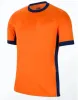 24 25 Holanda Copa de Europa Holanda club camiseta de fútbol MEMPHIS DE JONG VIRGIL DUMFRIES BERGVIJN Camisa KLAASSEN BLIND DE LIGT kit para niños camiseta de fútbol