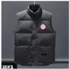 Canada Canadian Designer Men's Vest Down Coats Vente Europe et États-Unis Automne / Hiver Down Cotton Marque de luxe Vestes d'extérieur Nouveaux designers C D9il # 316