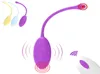 Vibratorer vibrator med fjärrkontroll silikonägg sexleksaker USB laddningsbara för vuxna vaginal bollar sexuell leksak vuxen8632986