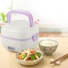 Dinnerware Plastic And Stainless Steel Multifunctional Electric Lunch Box Mini Rice Cooker Portable Steamer