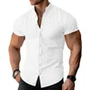Men's Casual Shirts Men Shirt Stylish Stand Collar Cardigan For Summer Business Wear Single-breasted