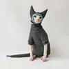 Kostiumy kotów Sphynx Ubranie Devon Rex odzież w paski Koszulę Sweter Pet Pet Bluza z kapturem bezwłose koty Zestaw Zestaw z czapką i ogonem