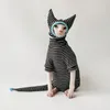 Kattdräkter Sphynx Kläder Devon Rex Apparel Randig skjorta Tröja Pet Hoodie Hairless Cats Clothing Set With Hat and Tail Protector